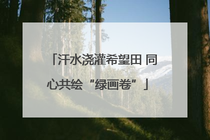 汗水浇灌希望田 同心共绘“绿画卷”